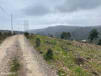 Terreno Rústico para Agricultura no Bengado, São Brás de Alportel