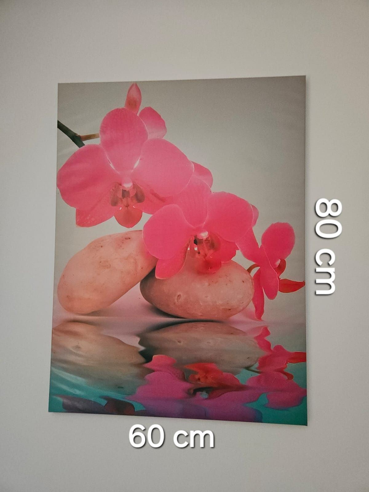 Obraz orchidea wymiary 80#60
