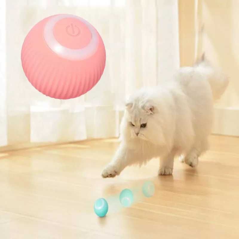 Smart piłka dla kotów i psów