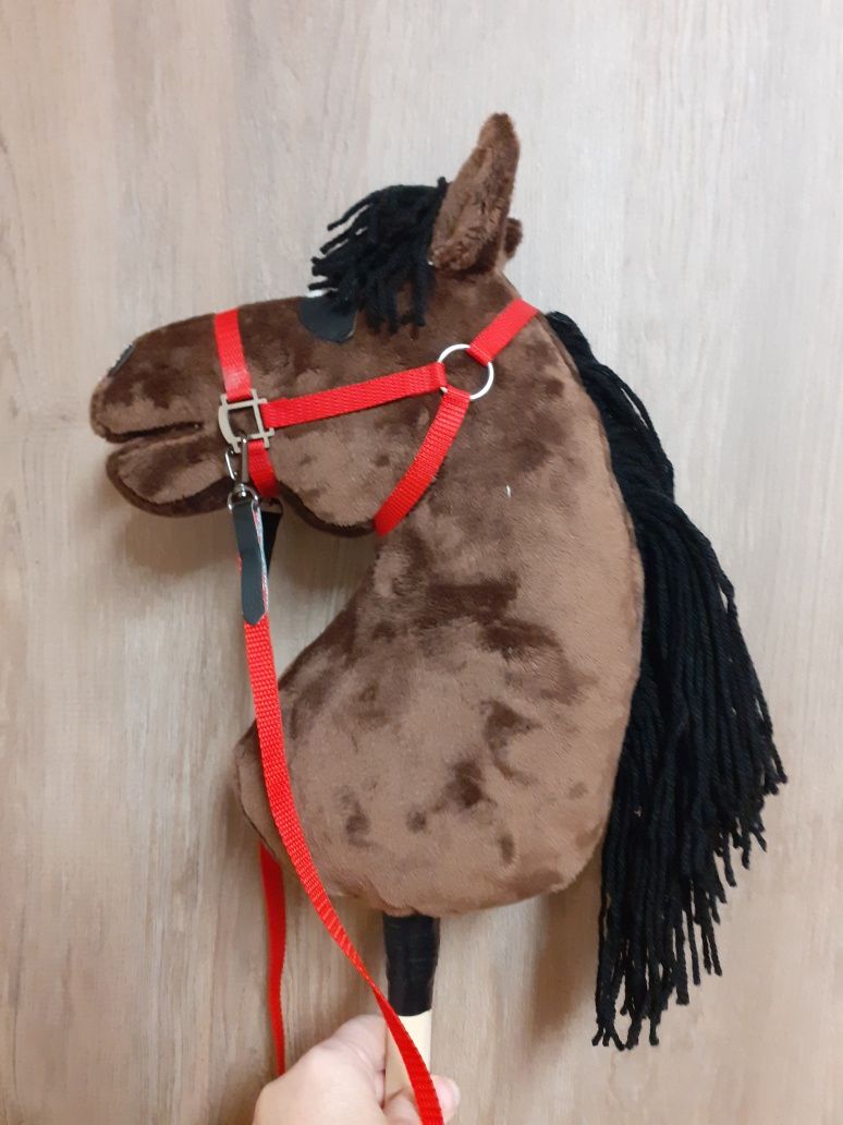 Konik hobby horse