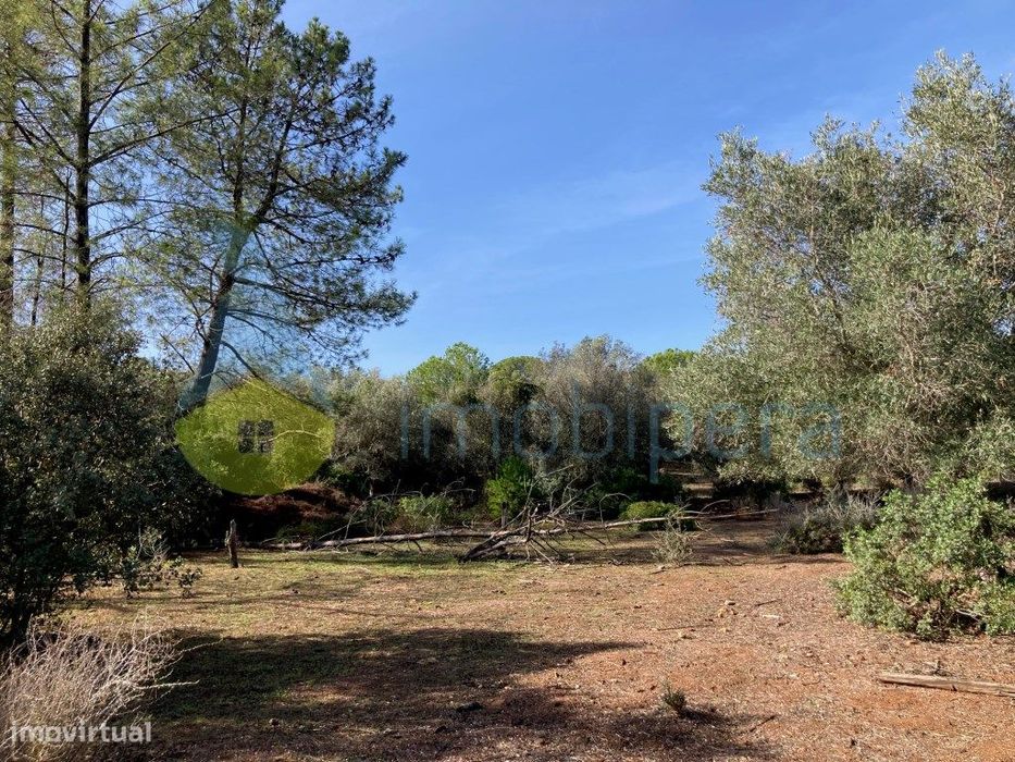 Terreno Rústico Com Poço E Árvores De Sequeiro Em Paderne