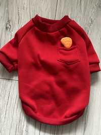 Czerwone ubranko bluza sweterek House marchewka dla małego psa york