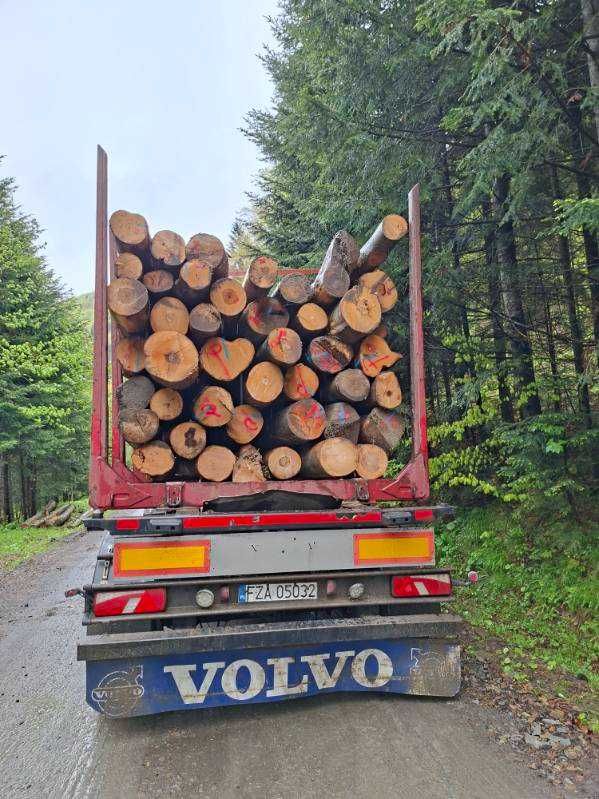 Buk opałowy kominkowe