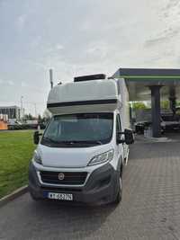 Fiat Ducato  Fiat Ducato chłodnia 8ep bi-temp, pierwszy właściciel