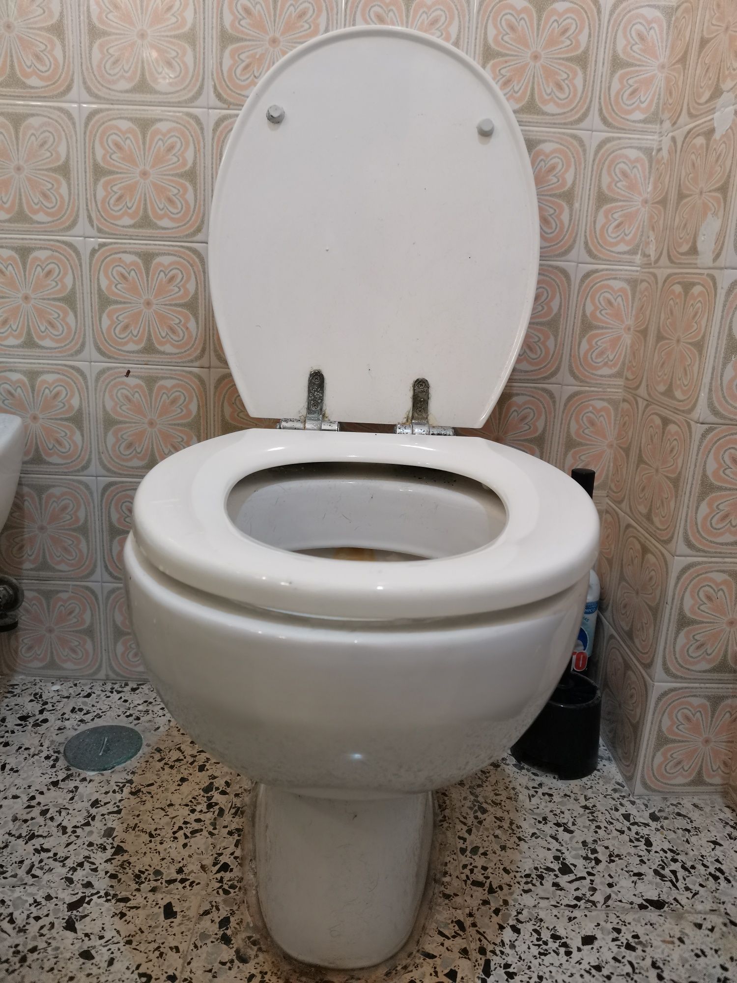 Sanita com descarga ao chão