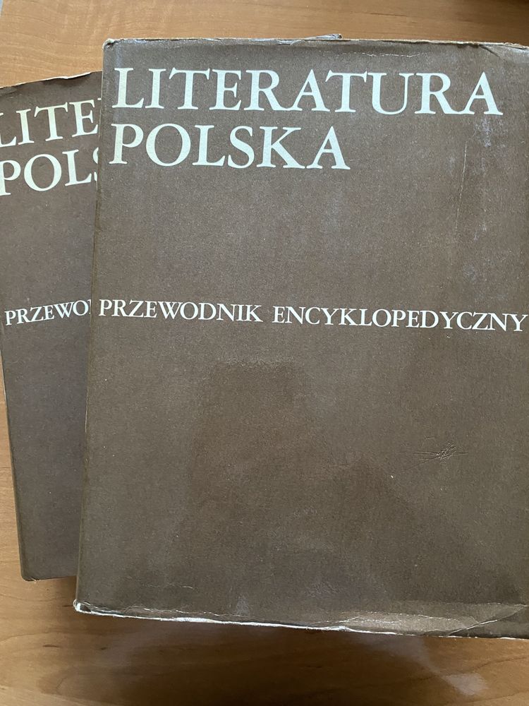 Literatura polska Przewodnik encyklopedyczny