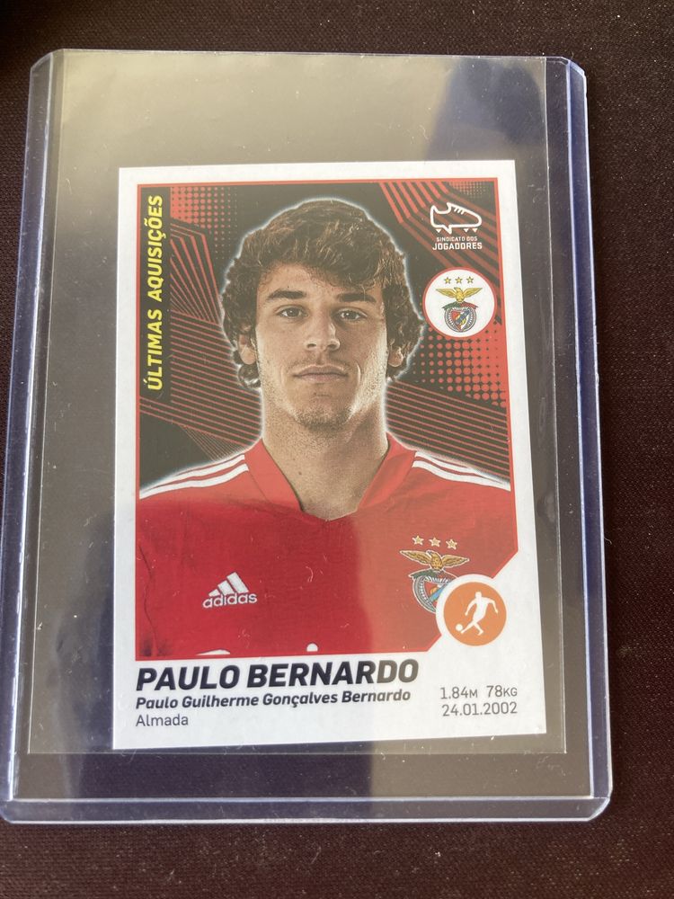 Cromo Paulo Bernardo