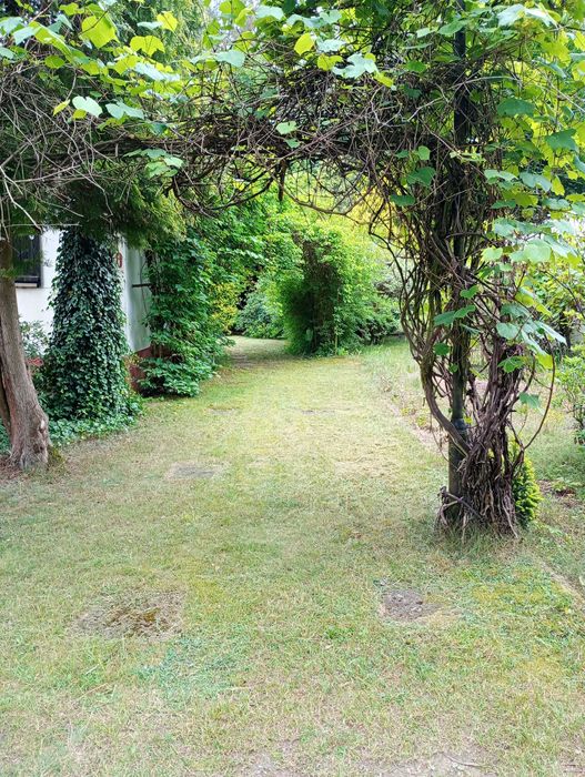 Działka ROD Maki w Justynowie