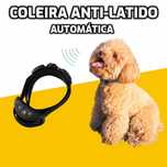 Coleira Anti-Latido Automática Recarregável Som/Vibração/Choque (Novo)