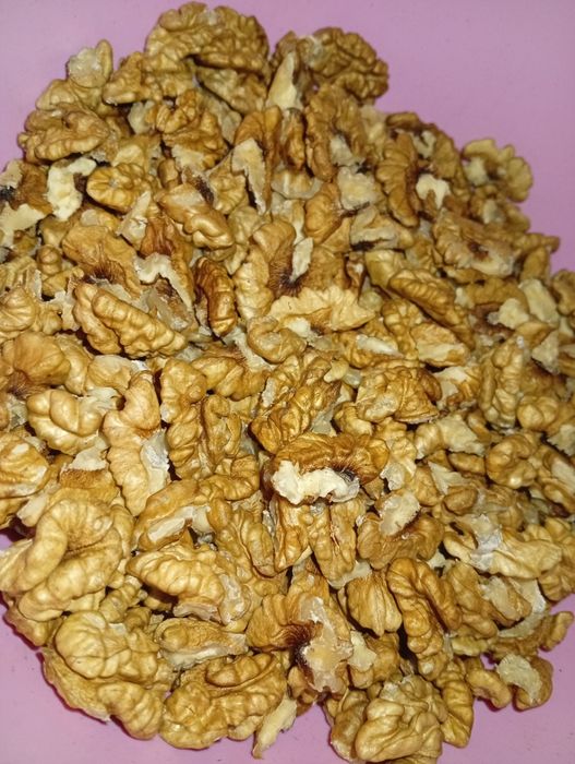 Горіх бабочка ,четверть з кусочком світла, орех 2025 рі