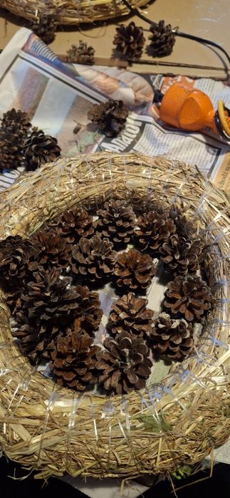 Szyszki sosnowe suche ,kazda ilosc