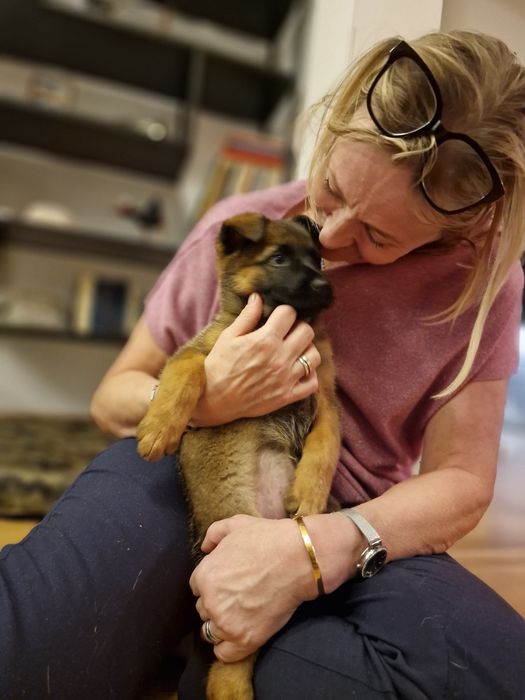 Szczeniaczek, suczka Pola urocza i bardzo mądra