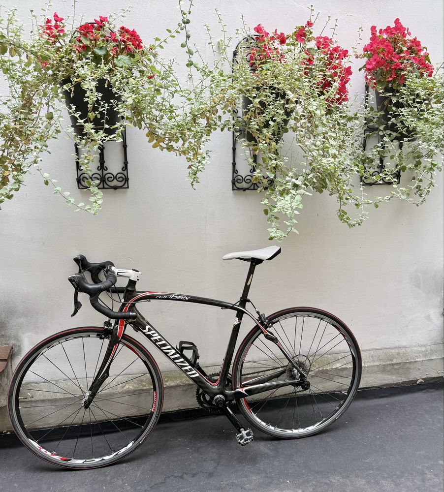 rower szosowy Specialized Roubaix Full-Carbon M