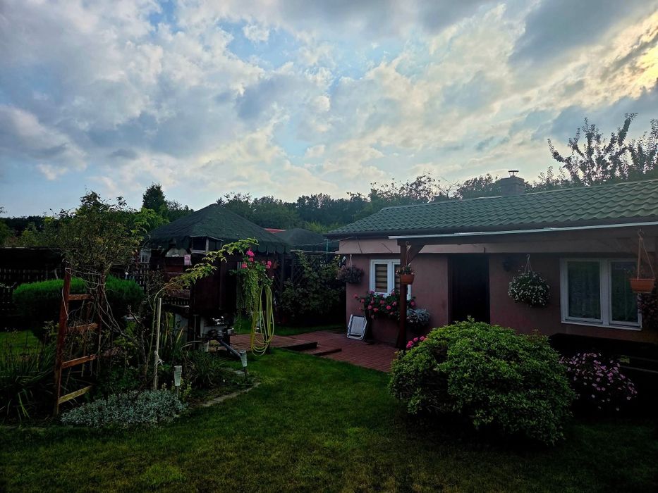 Działka ROD. Ogródek działkowy