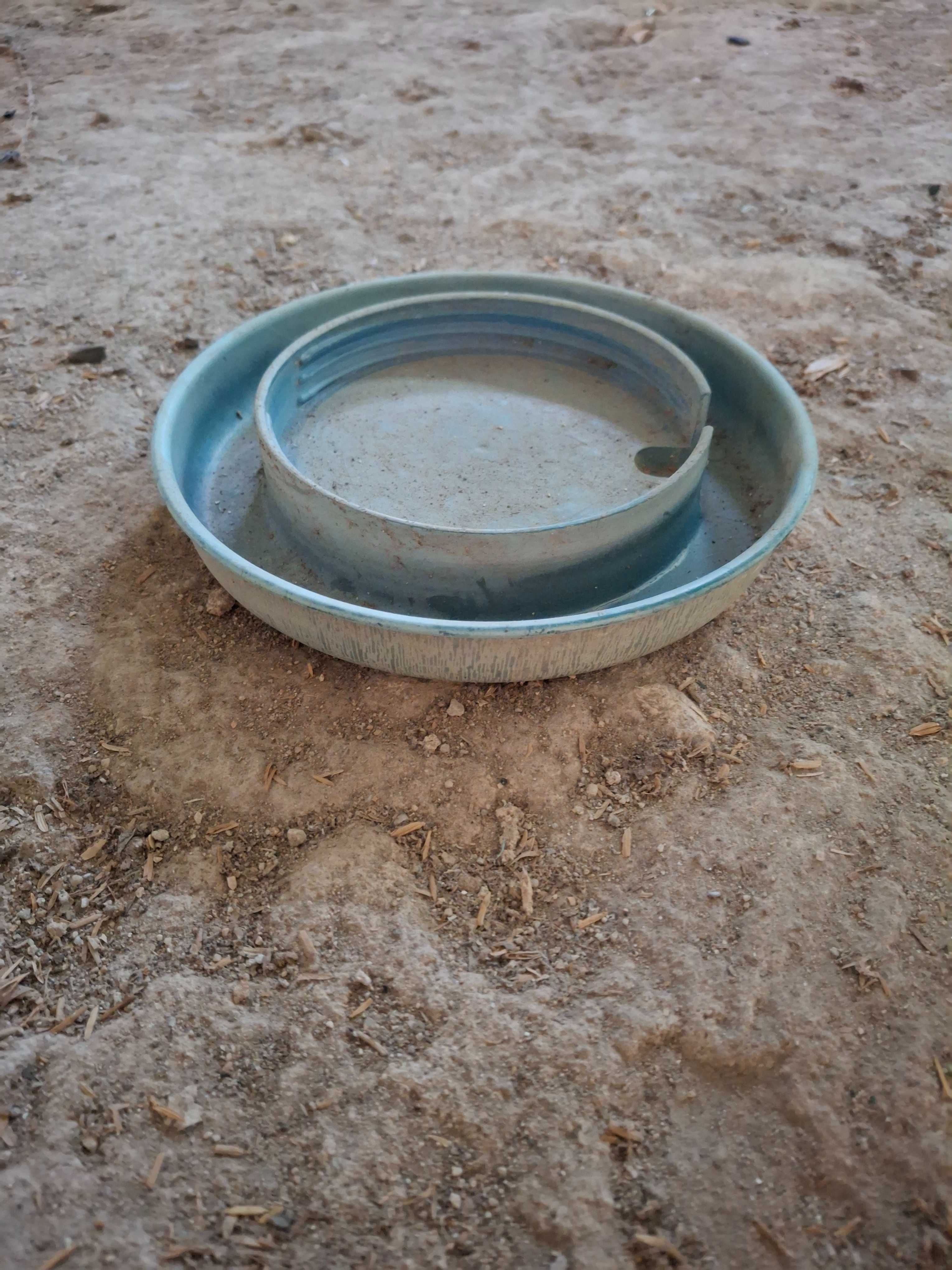 Bebedouros para aves