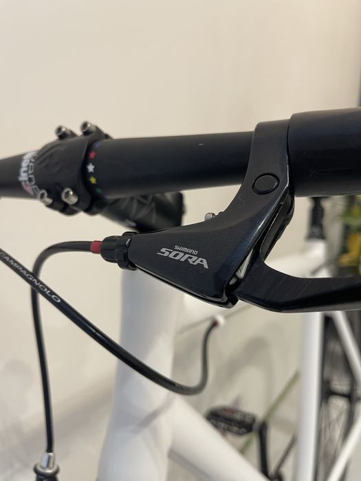 Rower Ostre koło / miejski / single speed