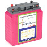 Li-on аккумулятор для лодочного электомотора Weekender 12V 100Ah
