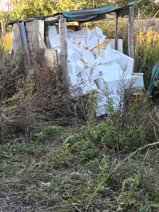 Ssyropian 20 cm.gruby za darmo poznan