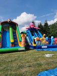 Dmuchaniec wolne terminy