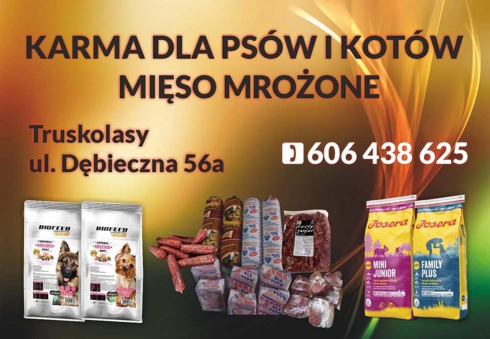 Mięso dla psów i kotów