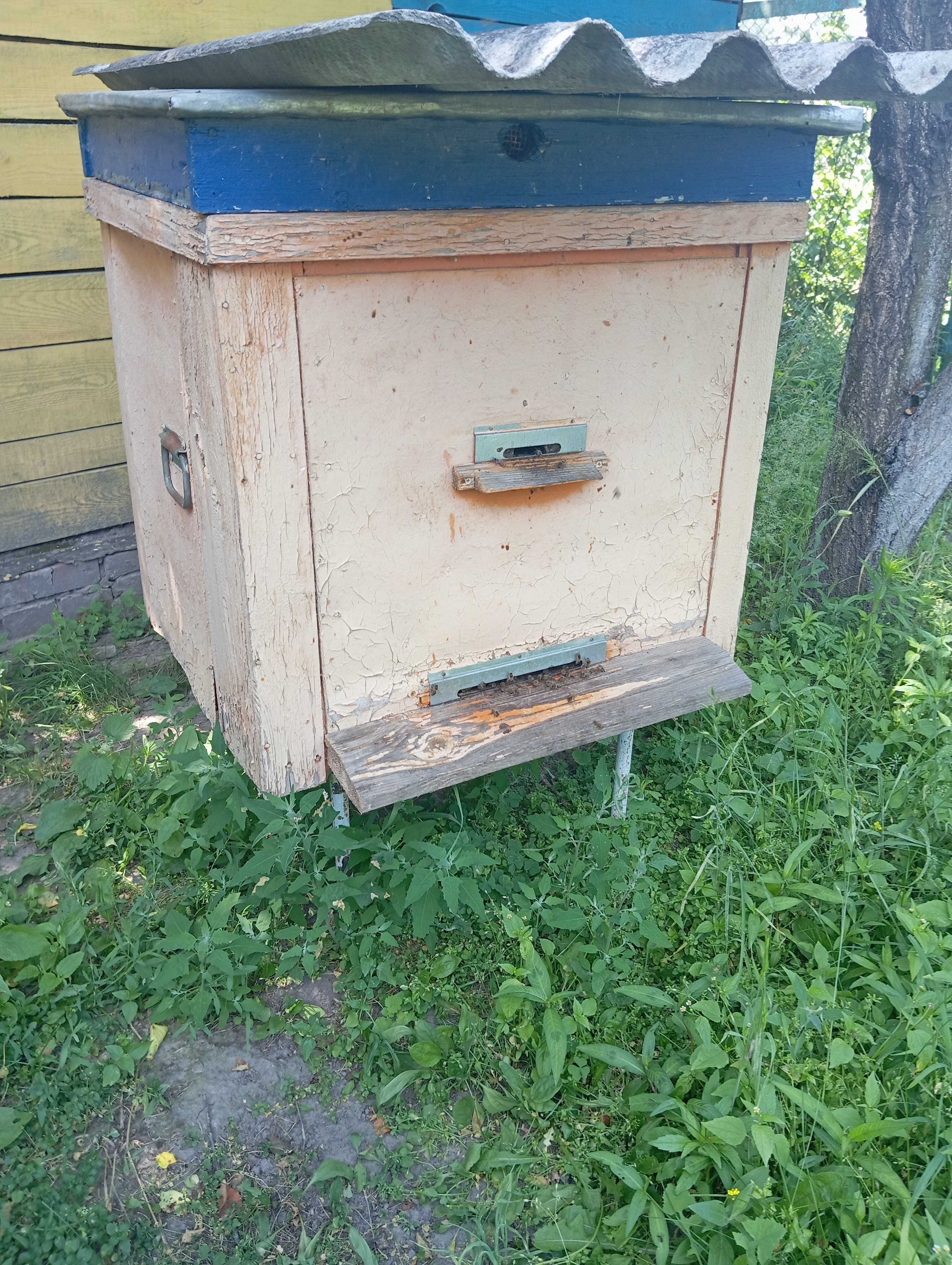 Бджолосімї з вуликами 1500гр.