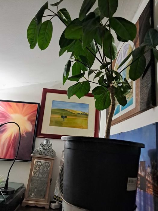 Quarto SOLTEIRO num T2 CENTRO Lisboa. Metro Chiado Ler texto.