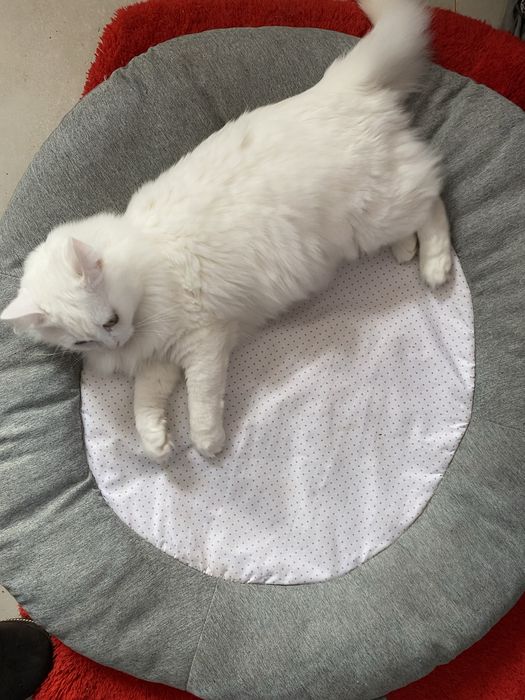 Большая мягкая лежанка