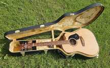 Maton SRS60C + dodatki