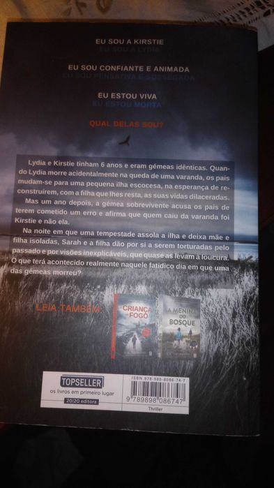 Livro "as gêmeas do gelo"