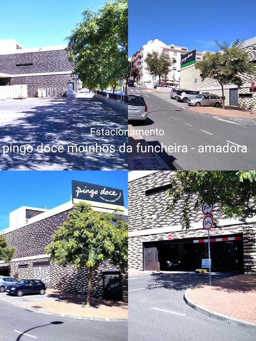 Canários Liliana amadora