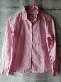 różowa koszula KappAhl-Hampton Republic 128cm