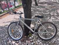Bicicleta Cannon Aluminio