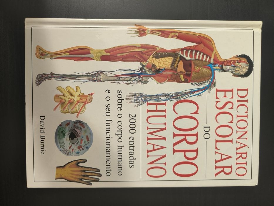 Dicionário escolar do corpo humano