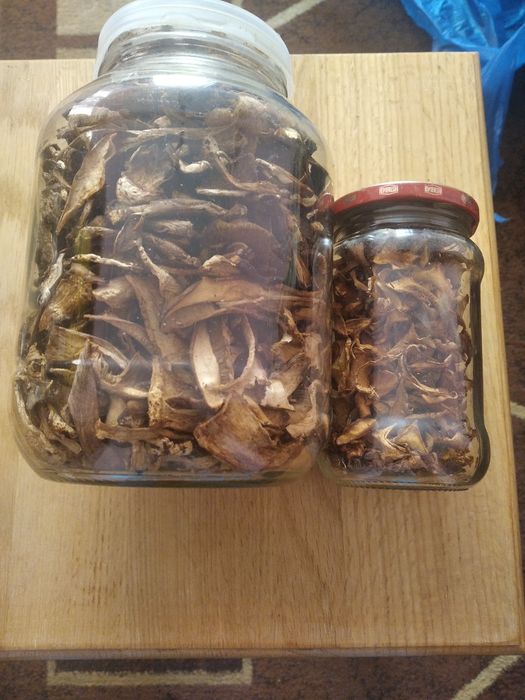 Продажа сушених білих грибів та лисичок.