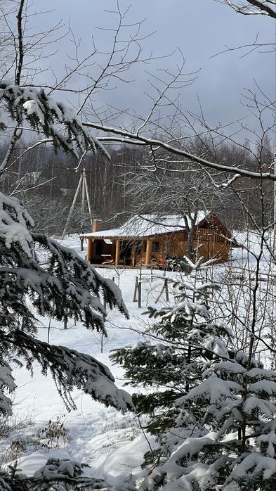 Будинок в Яремчі біля лісу, оренда будинка, житло