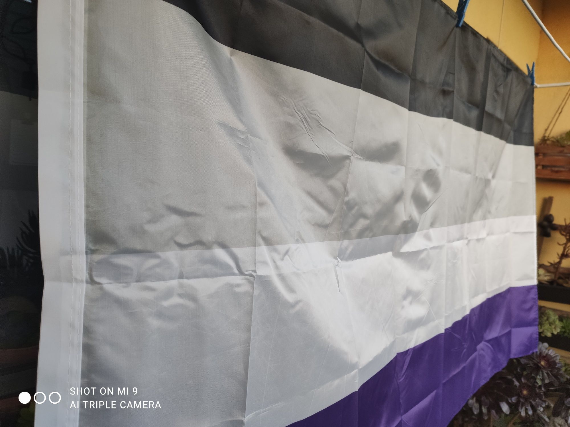 Bandeira Assexual 150x90 cm Nova