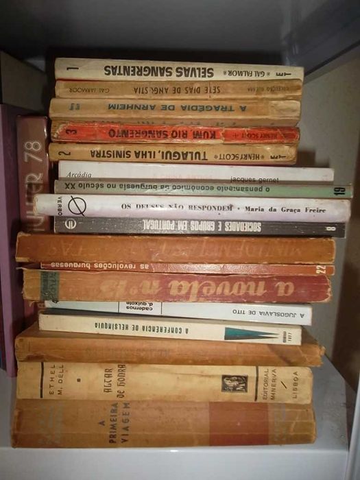 Literatura diversa nacional e estrangeira preços a partir de 1EUR cada