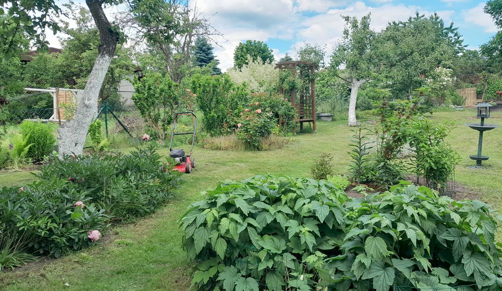 Działkę w ROD Nowe Życie sprzedam