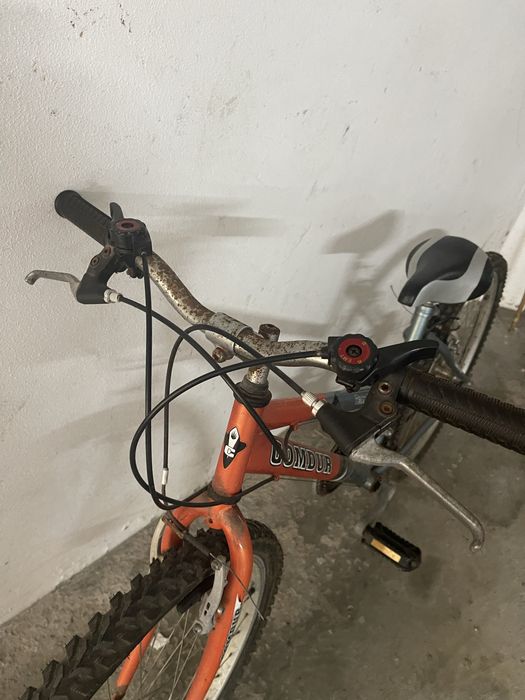 Bicicleta adulto