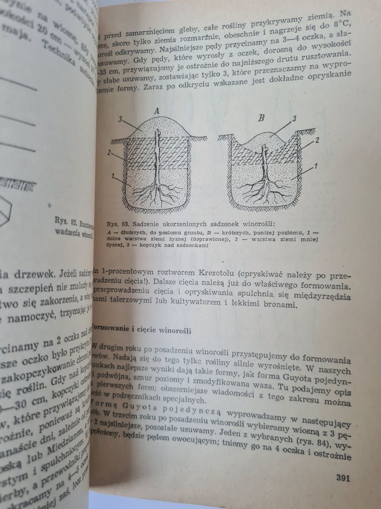 Wiadomości z ogrodnictwa - Książka