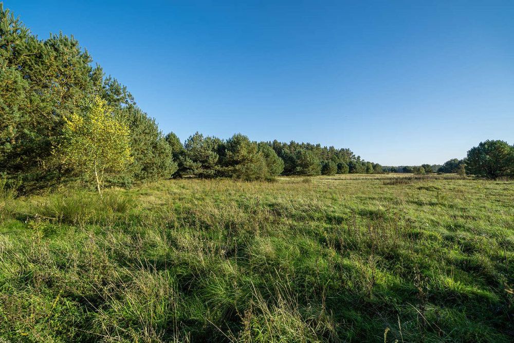 TYLKO TERAZ Działka budowlana 25 min od morza! Pomorze blisko Słupska