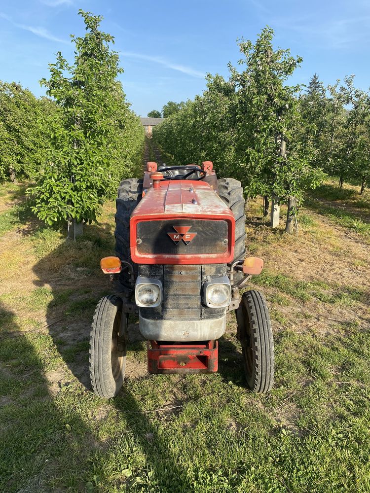 MASSEY FERGUSON MF 148V mklll, 3cyl 47KM, sasowniczy, 255,135,147,247