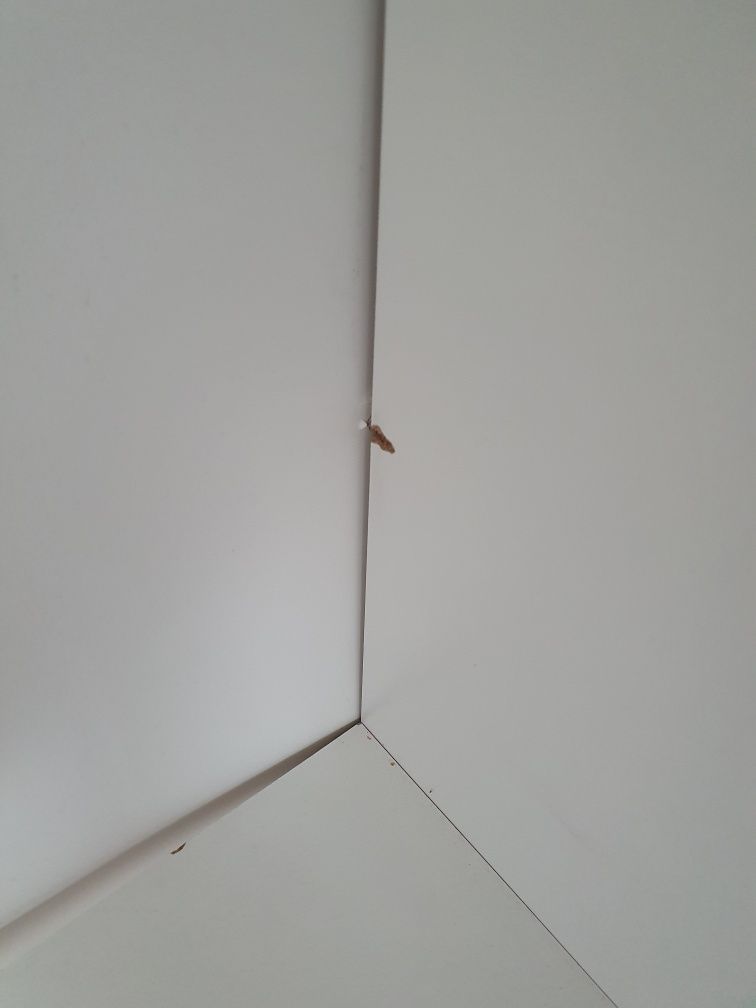 Szafa przesuwna z lustrem 120x200x60