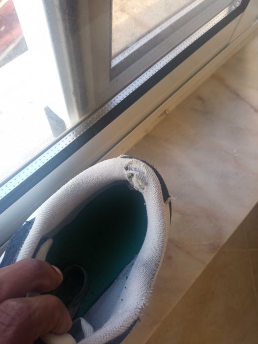 Olá vendo a minha Lacoste porque já não uso