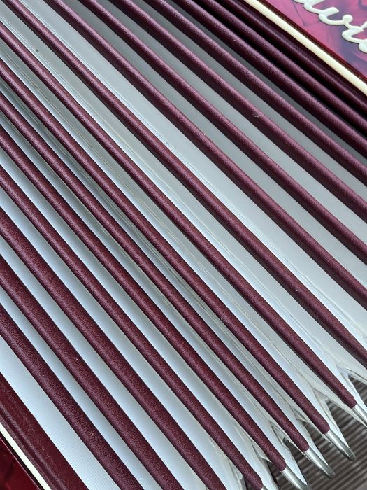 Akordeon Traviata ladny stan