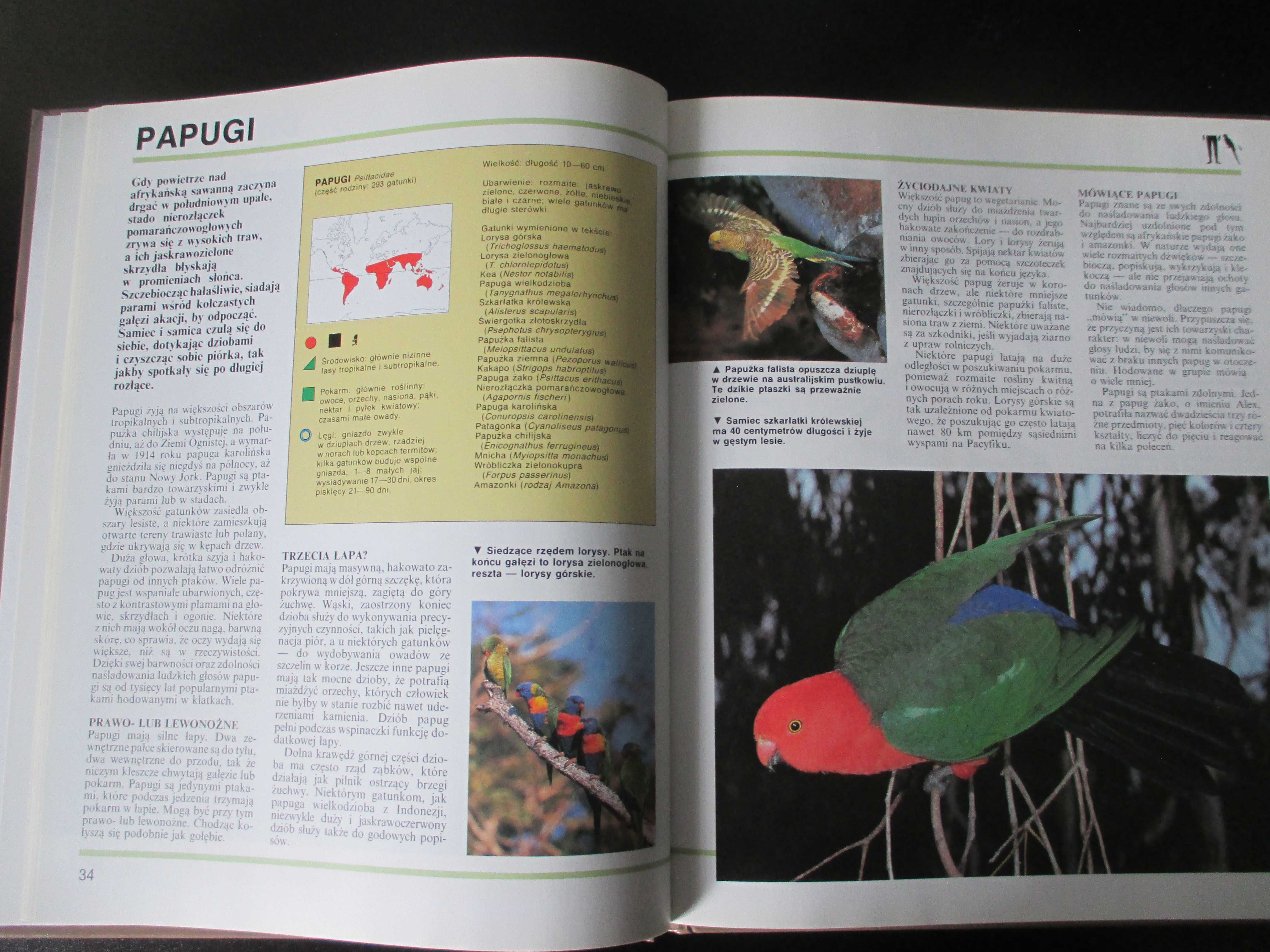 Książka Encyklopedia świata zwierząt, Ptaki, Roślinożerne i ziarnojady