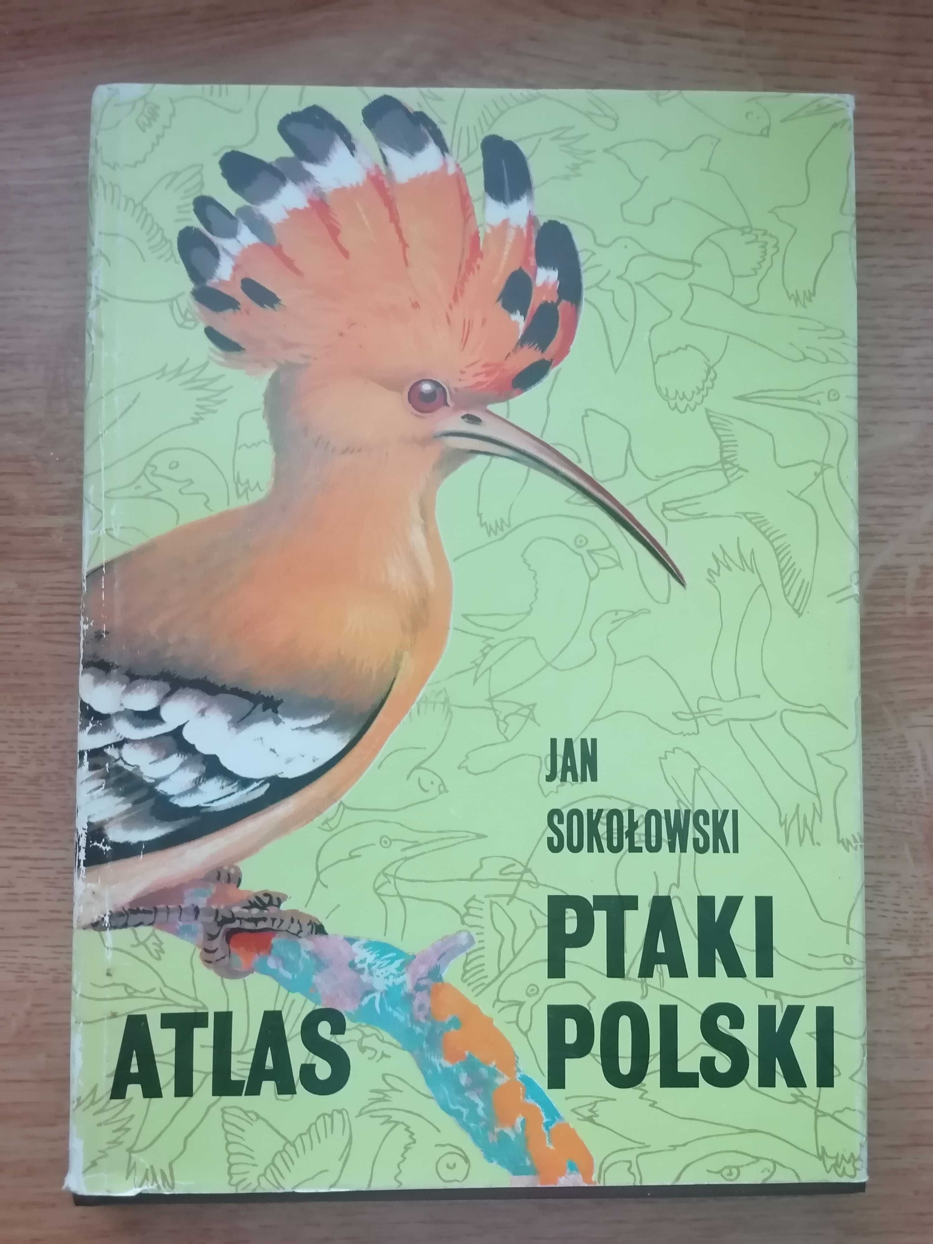 Atlas Ptaki Polski -Jan.Sokołowski.