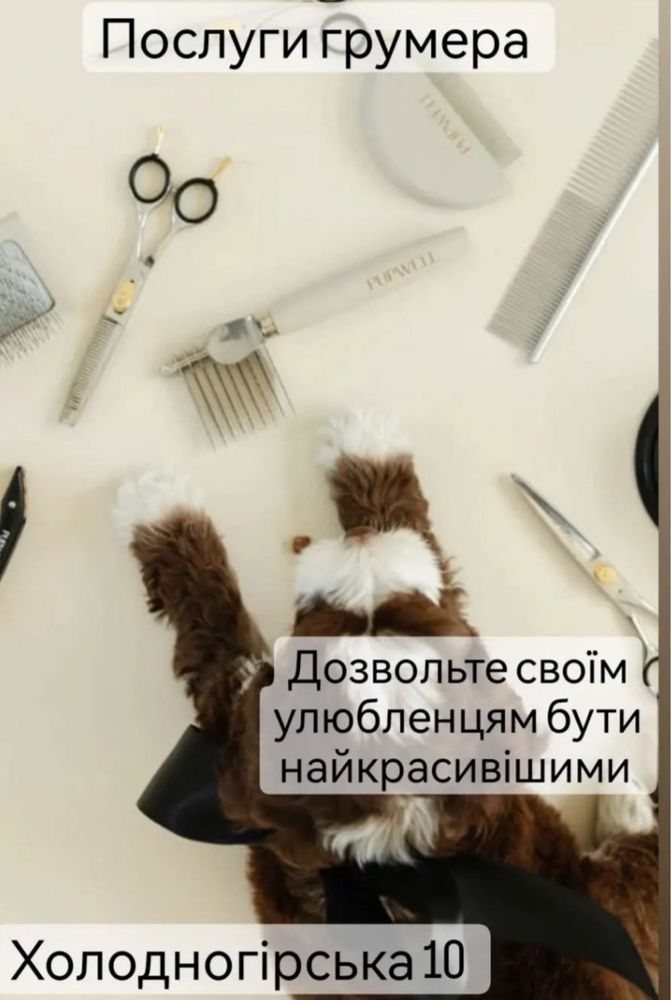 Ветеринарні послуги