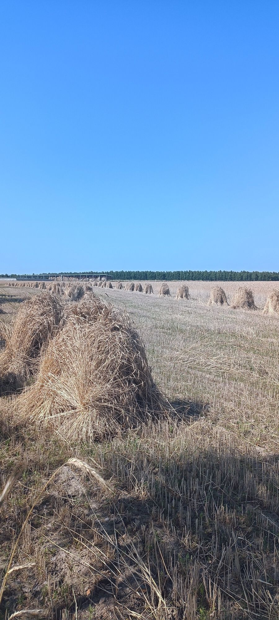 Dom  70m  nad jeziorem wolny termin od 10.08