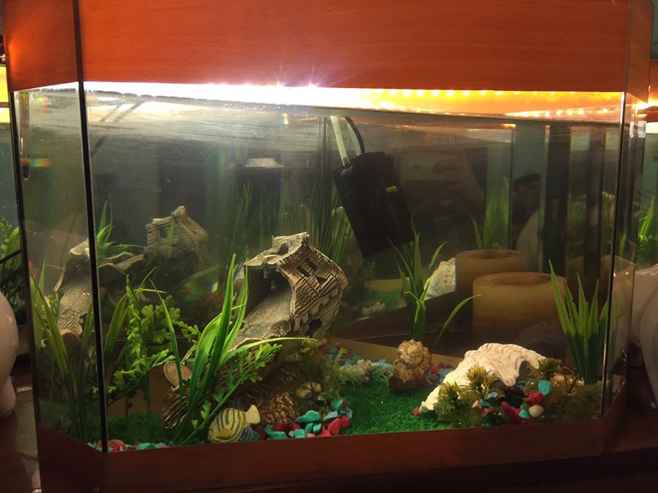 Продам аквариум на 35 литров угловой